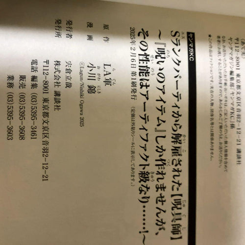 Seinen Manga