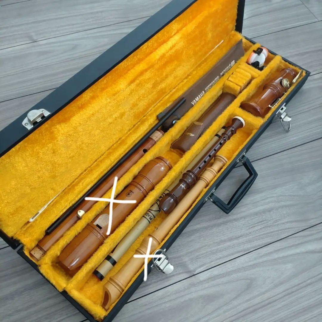 Case Yamaha Aulos