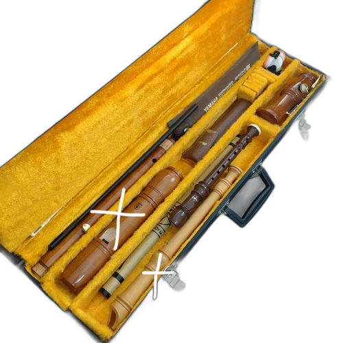 Case Yamaha Aulos