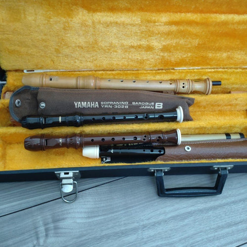 Case Yamaha Aulos