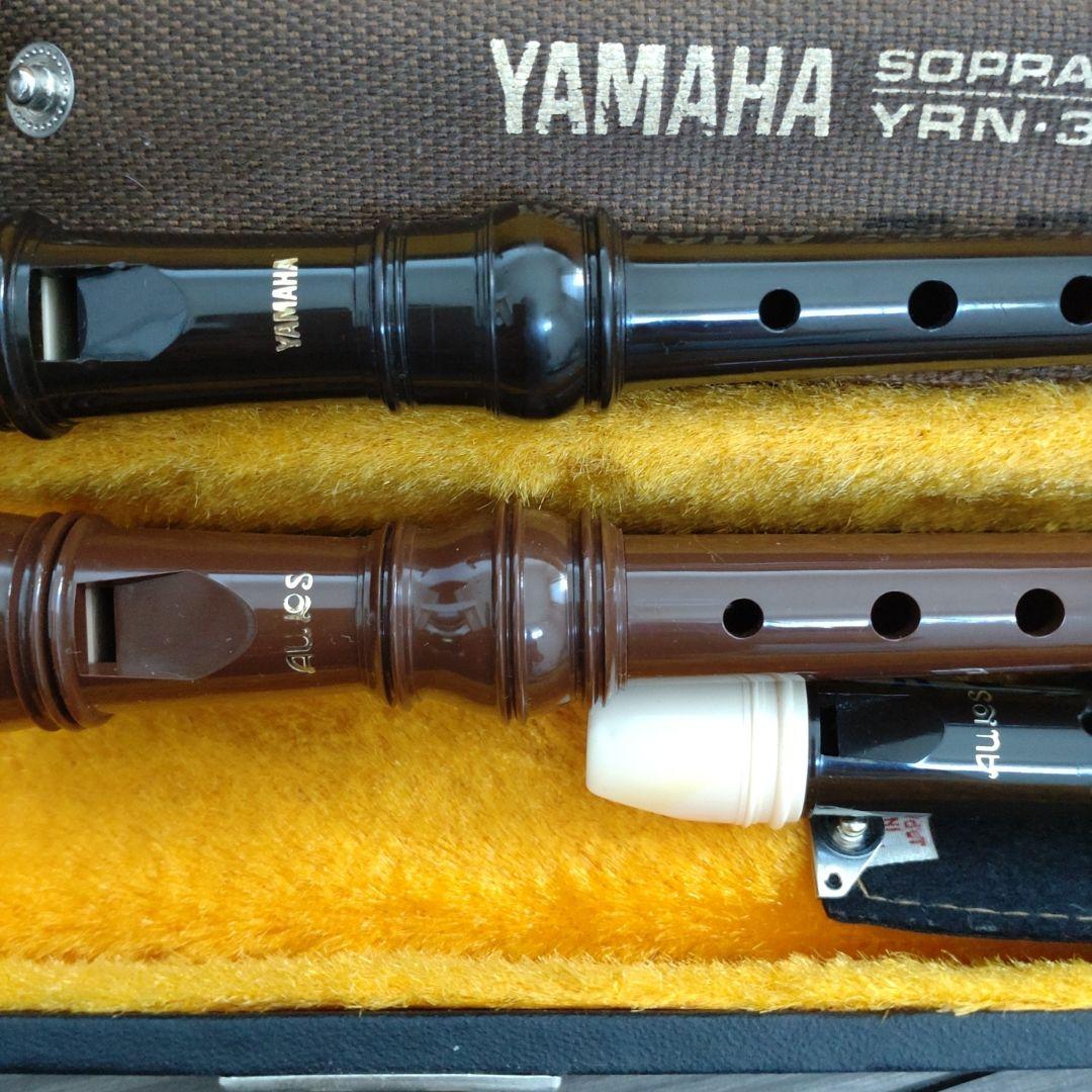 Case Yamaha Aulos