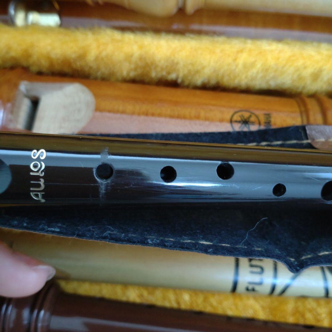 Case Yamaha Aulos