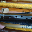 Case Yamaha Aulos