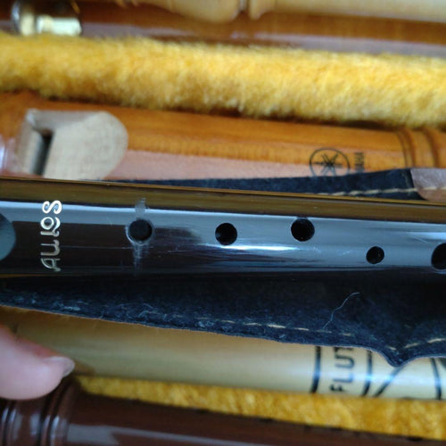 Case Yamaha Aulos