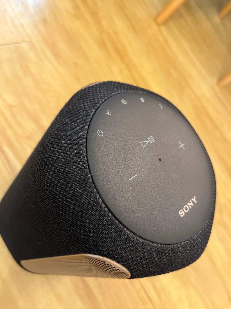 Sony Wireless Speakers Srs-Ra3000