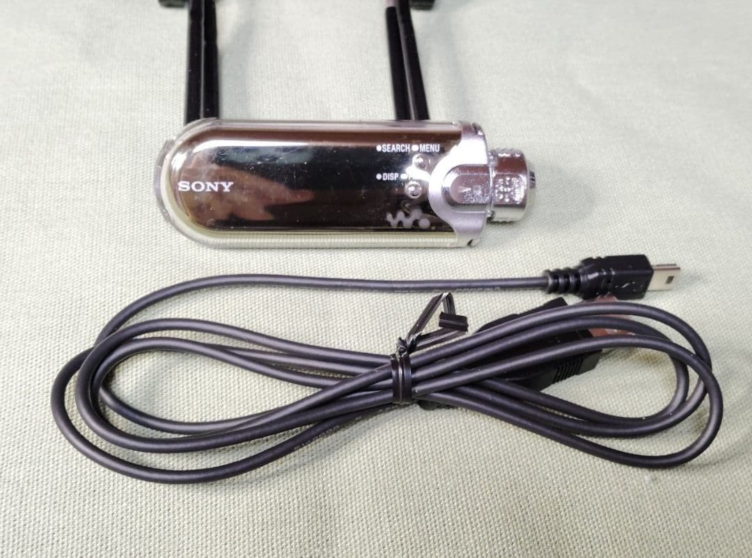 Sony Digital Audio Players Nw-E507 1Gb