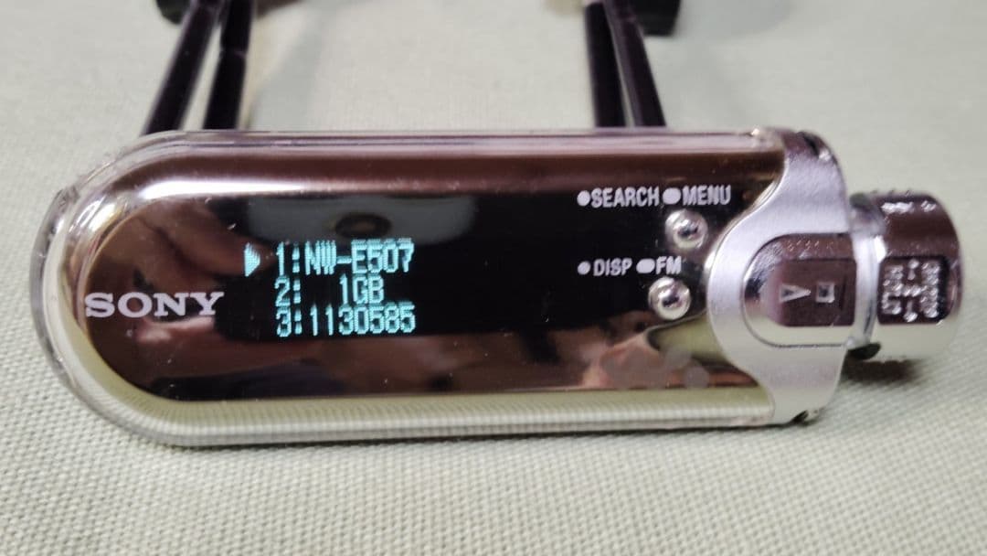 Sony Digital Audio Players Nw-E507 1Gb