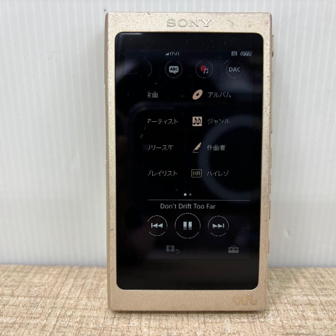 Sony Digital Audio Player Nw-A45