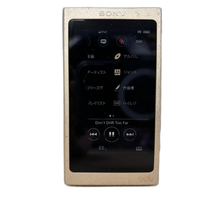 Sony Digital Audio Player Nw-A45