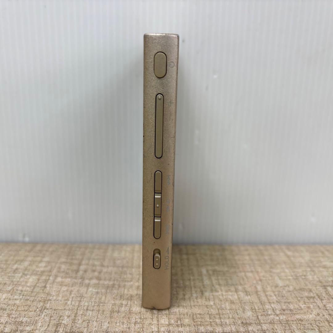 Sony Digital Audio Player Nw-A45
