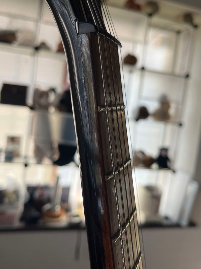 Electric Guitar Epiphone Sg Special Roland Gk-3