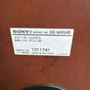 Sony Other Nas M95Hd
