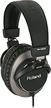 Studio Monitor Speaker Roland Rh-300