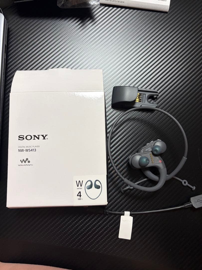 Sony Digital Audio Players Nw-Ws413