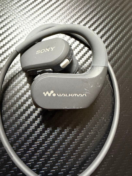 Sony Digital Audio Players Nw-Ws413