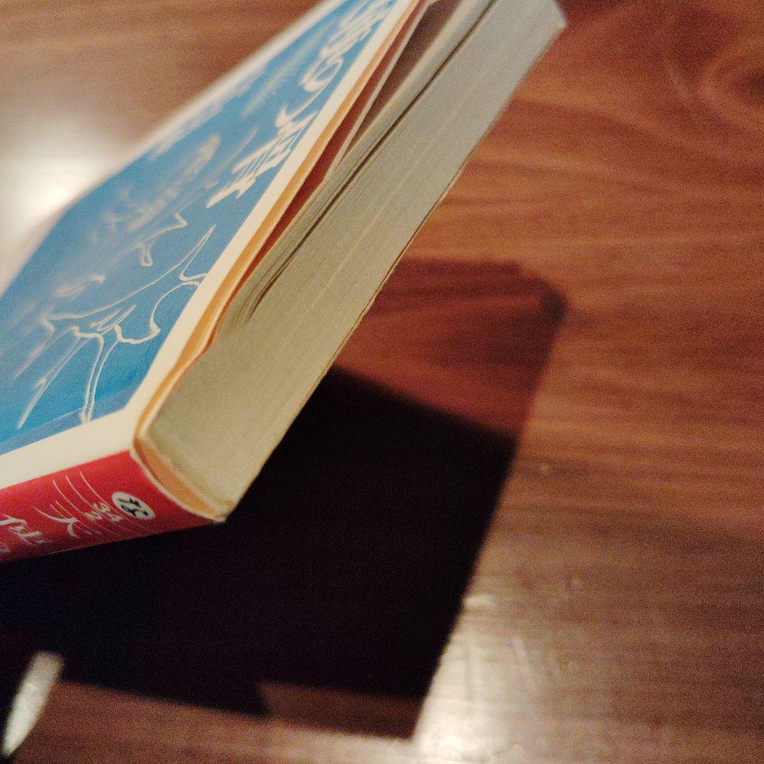 Literature Novel