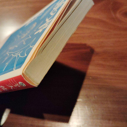 Literature Novel