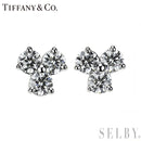 Tiffany Earrings (For Both Ears) Pt950