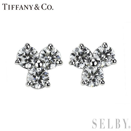 Tiffany Earrings (For Both Ears) Pt950