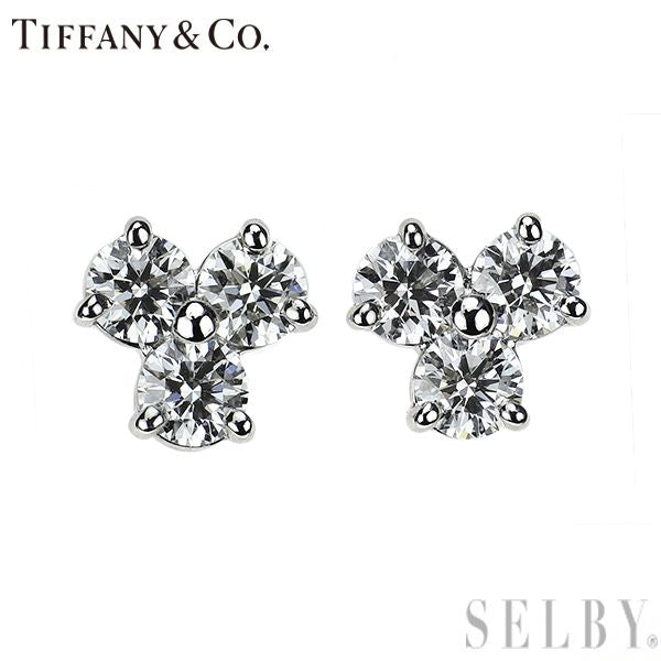 Tiffany Earrings (For Both Ears) Pt950