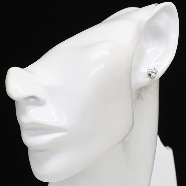 Tiffany Earrings (For Both Ears) Pt950