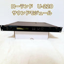 Roland Others U-220
