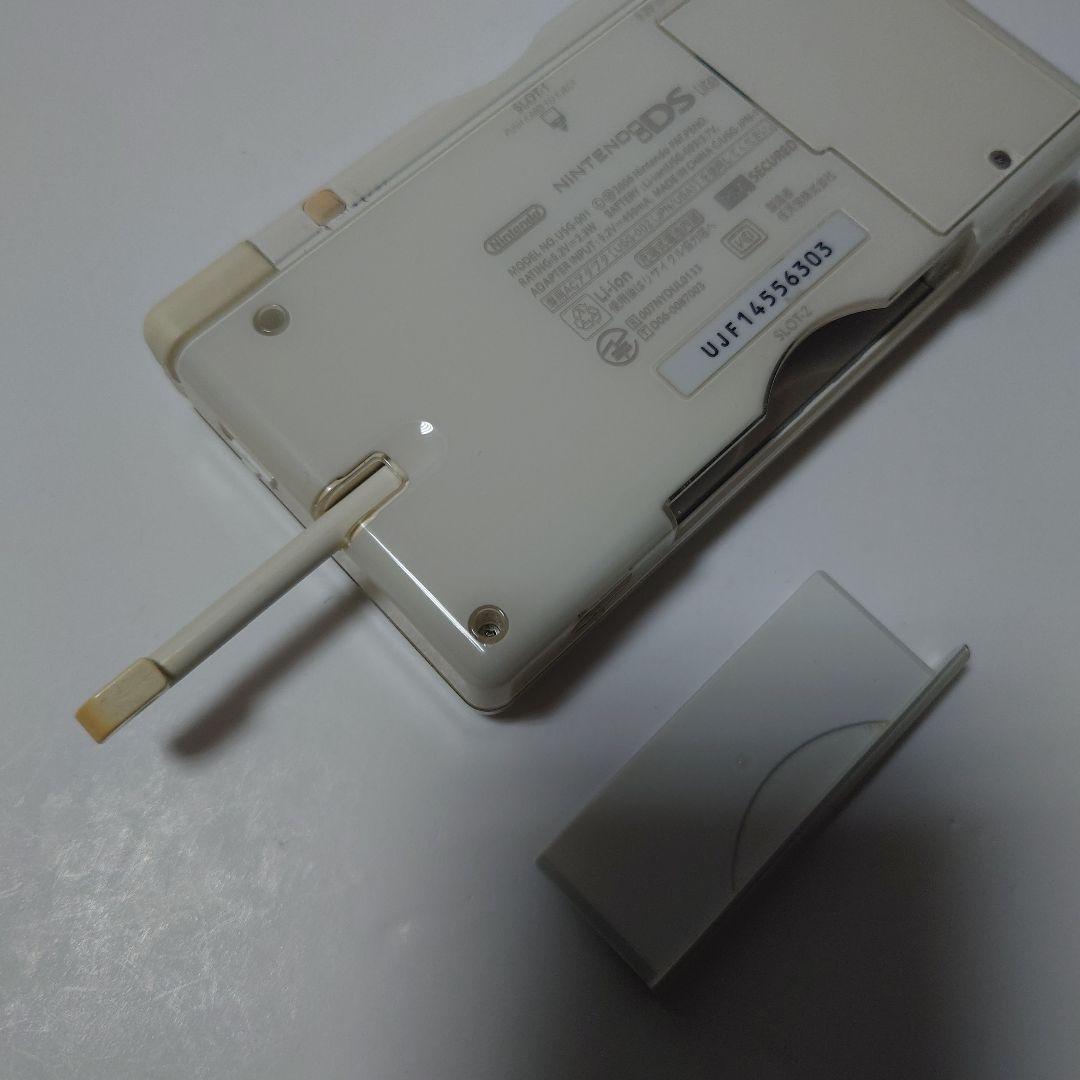 Body (Ds Lite)