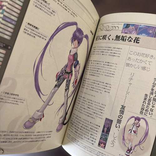 Game Capture Book Tales Of Series 20Th Anniversary Artbook