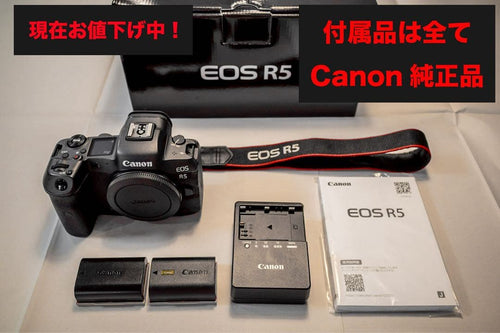 Canon Digital Slrs Eos R5