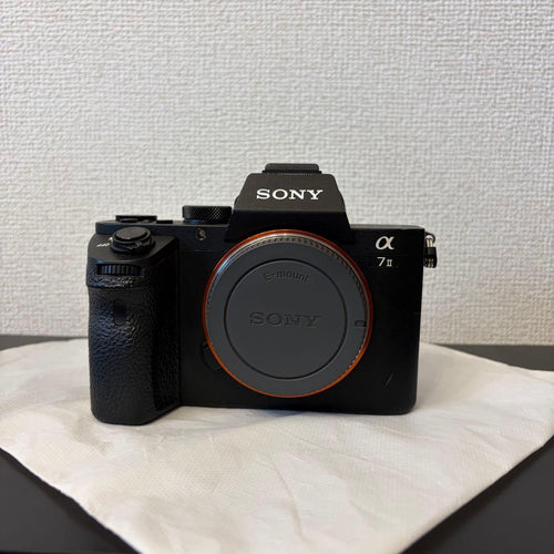 Mirrorless Interchangeable Lens Cameras Sony 7Ii