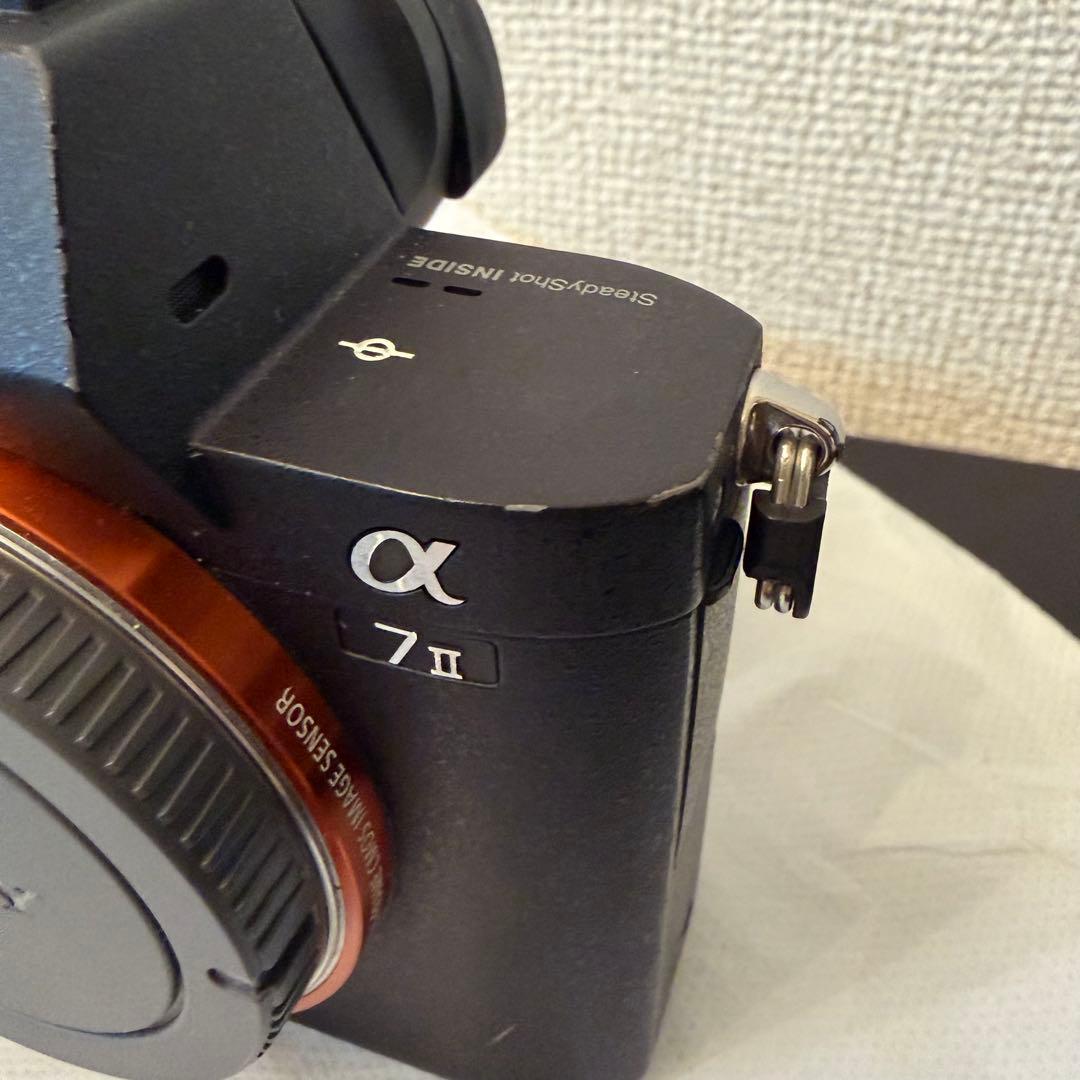 Mirrorless Interchangeable Lens Cameras Sony 7Ii