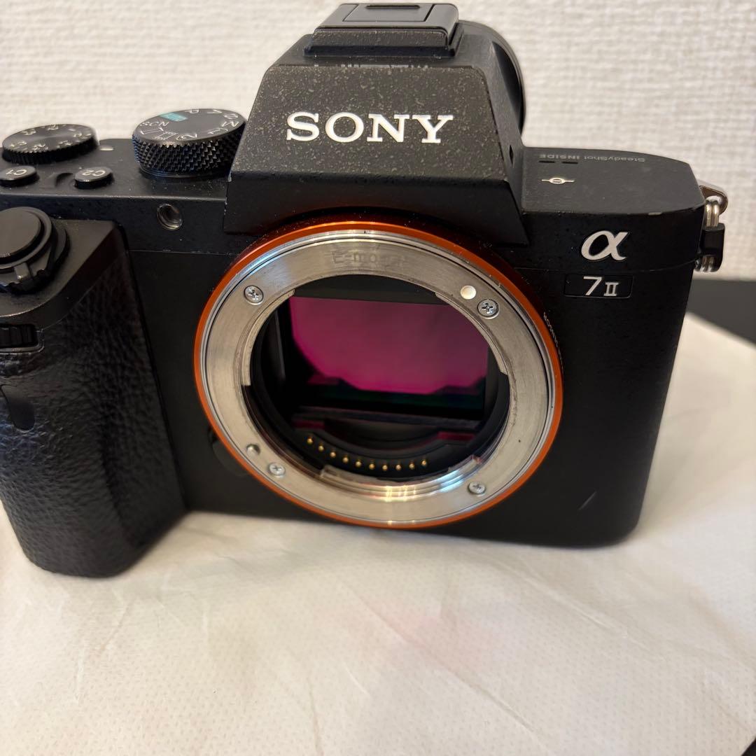 Mirrorless Interchangeable Lens Cameras Sony 7Ii