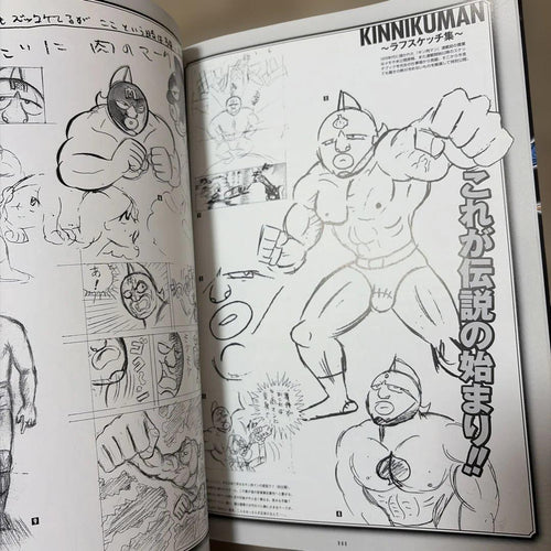 Illustration Collections 29 Muscle Gallery