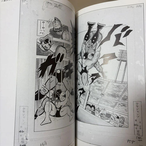 Illustration Collections 29 Muscle Gallery