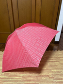 Celine Umbrella