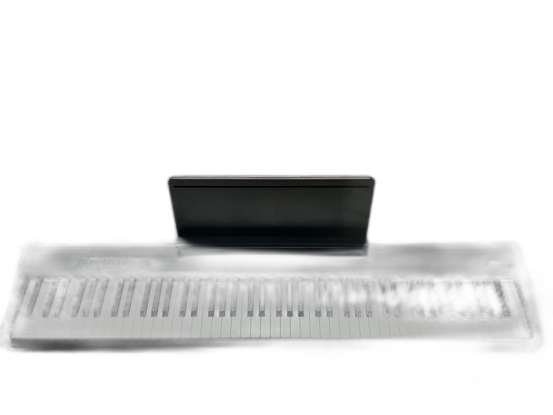 Roland Keyboard Electronic Piano Fp-30X
