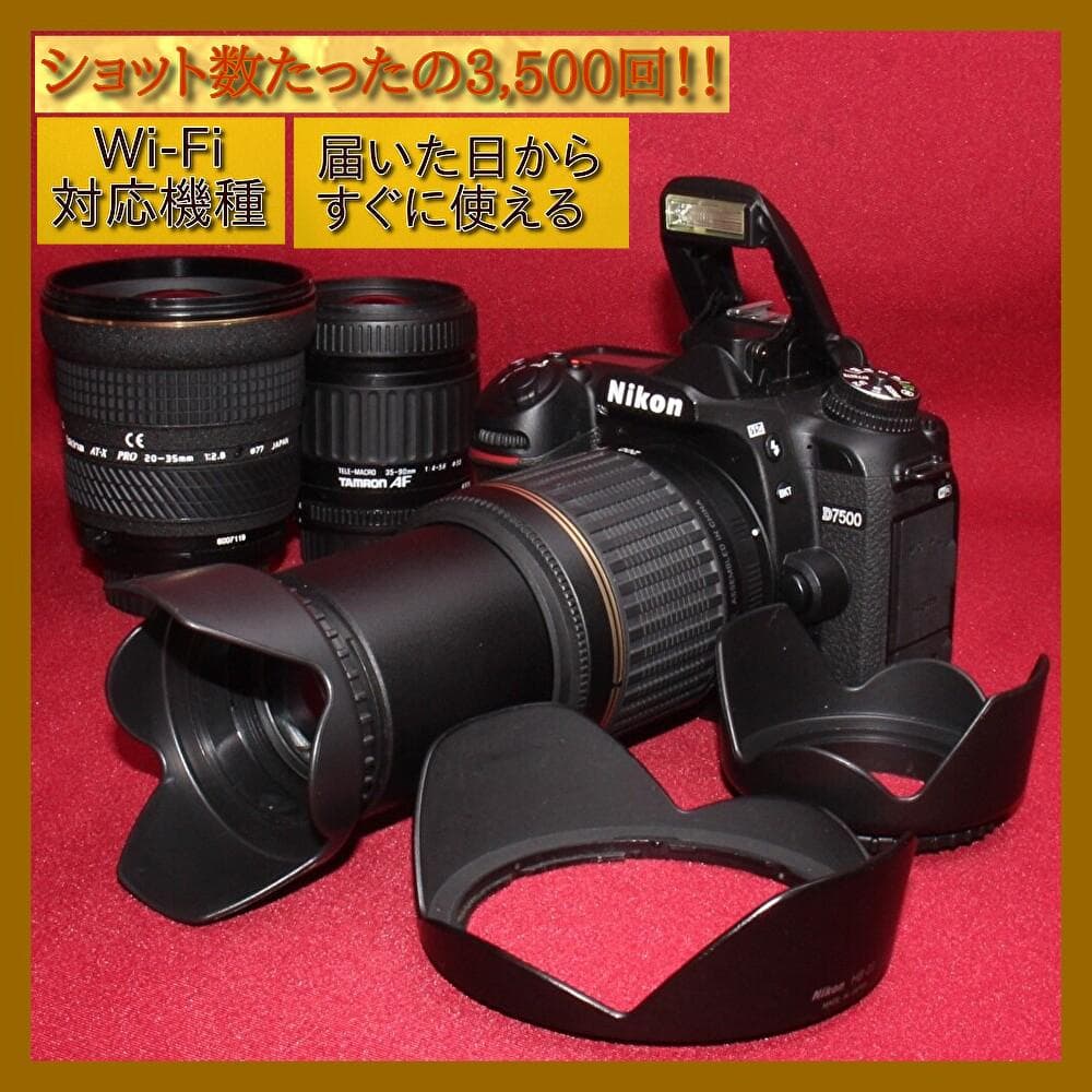 Nikon Digital Slr D7500