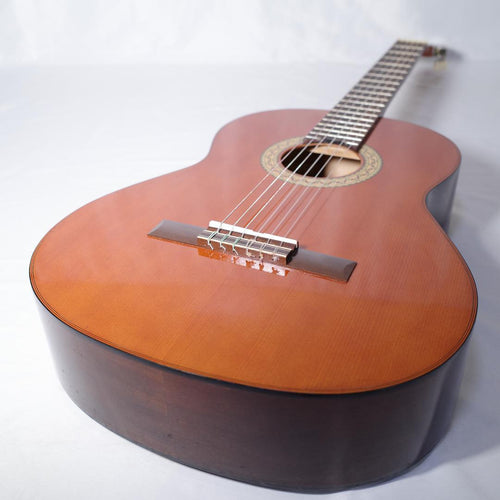 Yamaha Classical Guitars G-120