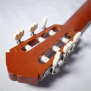 Yamaha Classical Guitars G-120