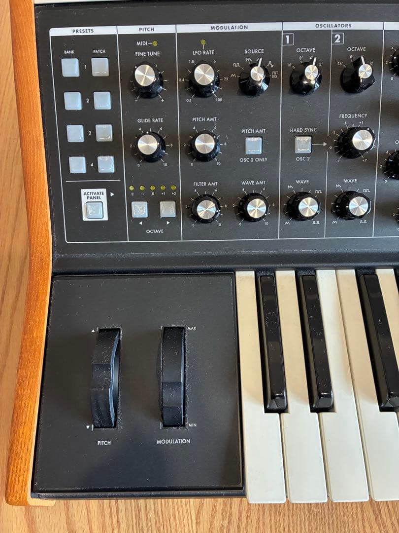 Moog Analog Synthesizer Subsequent 25