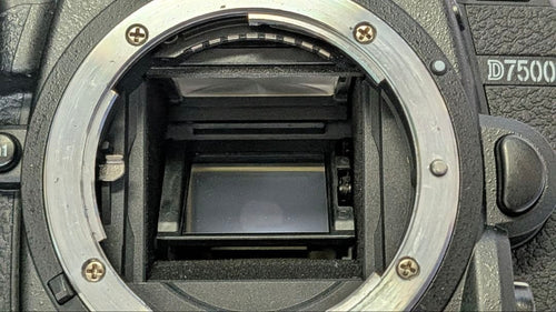 Nikon Digital Slrs D7500 4659