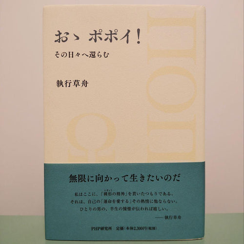 Literature Novel