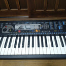 Yamaha Keyboards Digital Pianos Psr-79 49