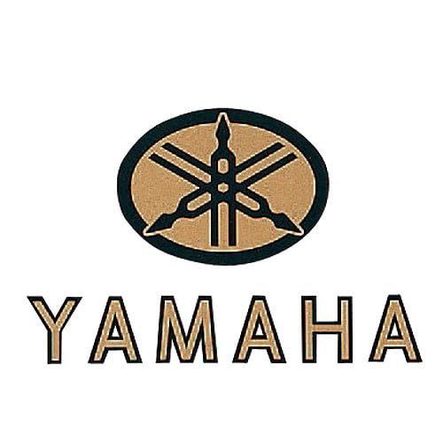Emblem 1 (2 Q5K-Ysg-001-019