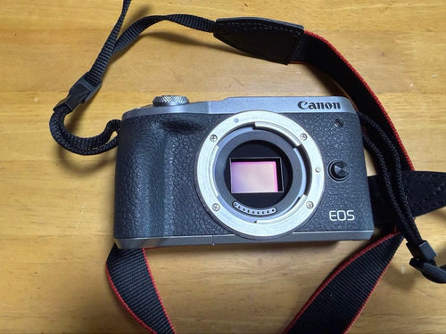 Canon Mirrorless Interchangeable Lens Cameras