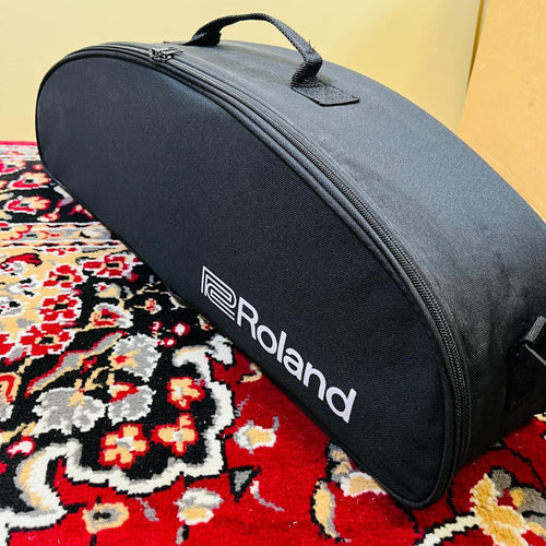 Roland Other Ae-10G