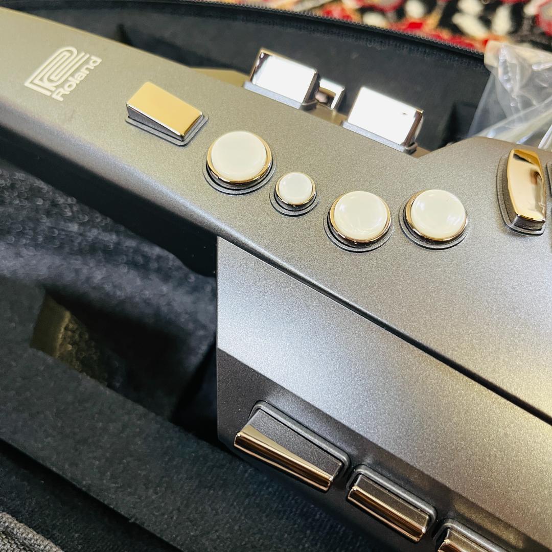 Roland Other Ae-10G