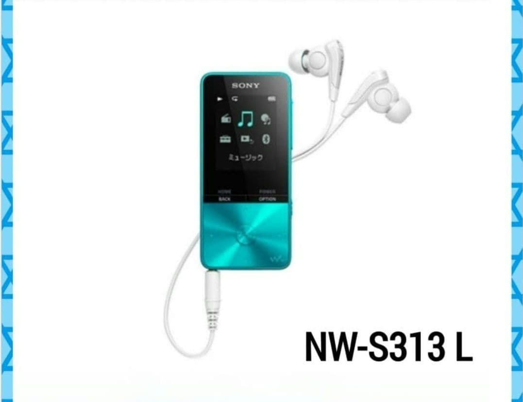 Sony Digital Audio Players Nw-S313 L