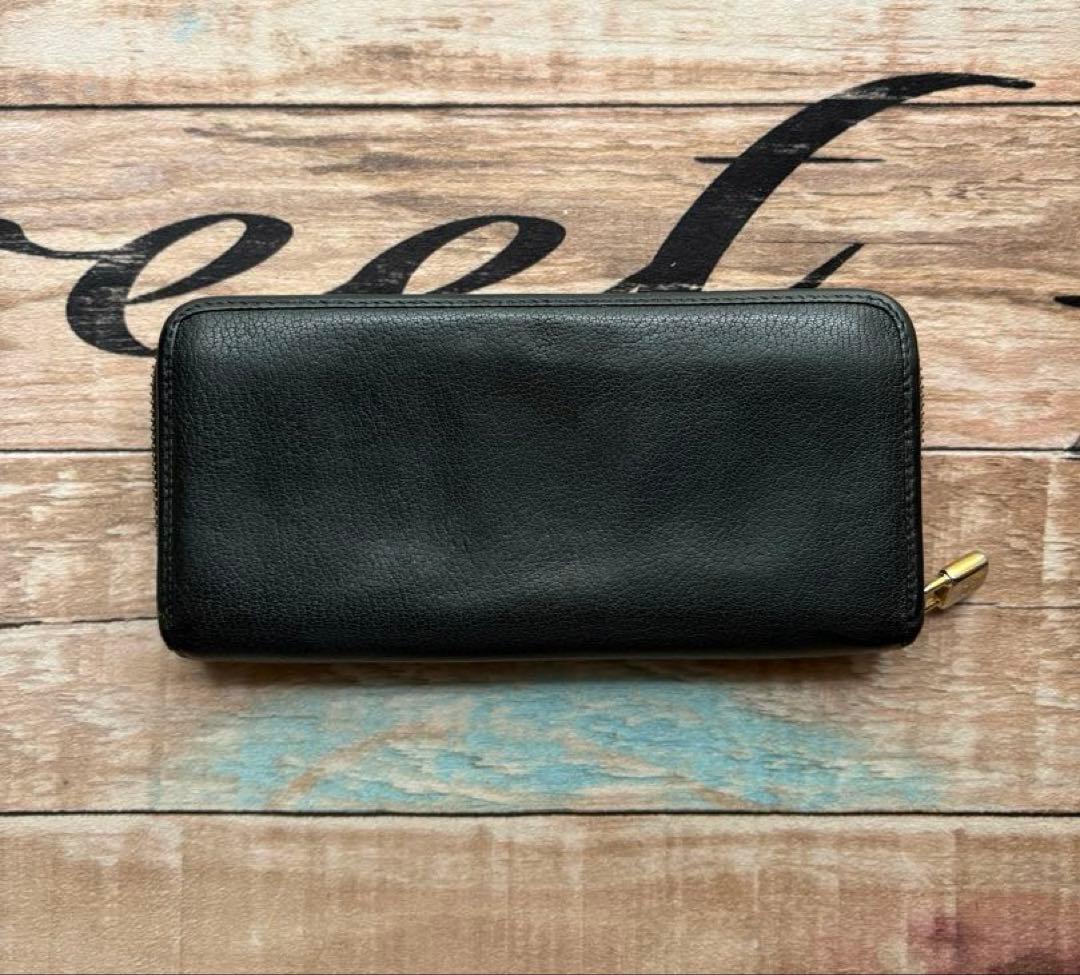Loewe Long Wallets