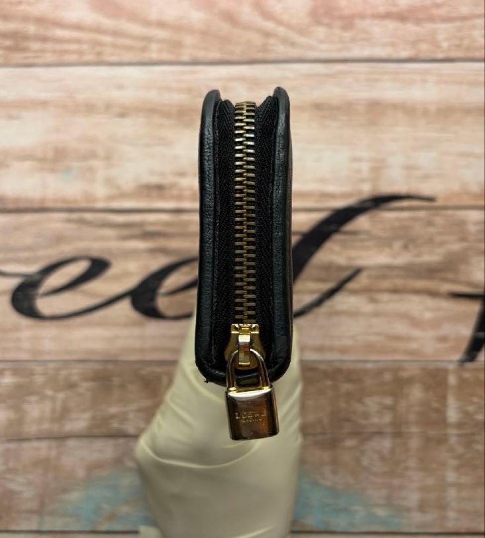 Loewe Long Wallets